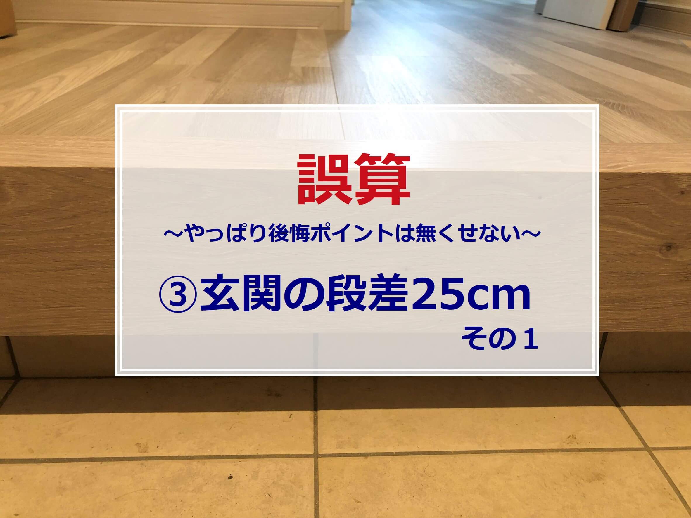 誤算 やっぱり後悔ポイントは無くせない 玄関の段差25cm その１ ロフトと土間とスキップフロア ときどき井戸